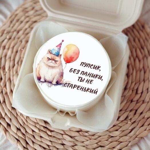 Бенто торт с котом Без паники, ты не старенький