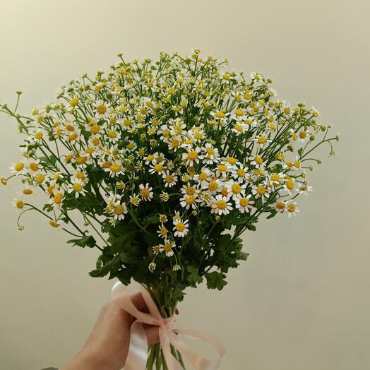 Букет💐 из ромашек