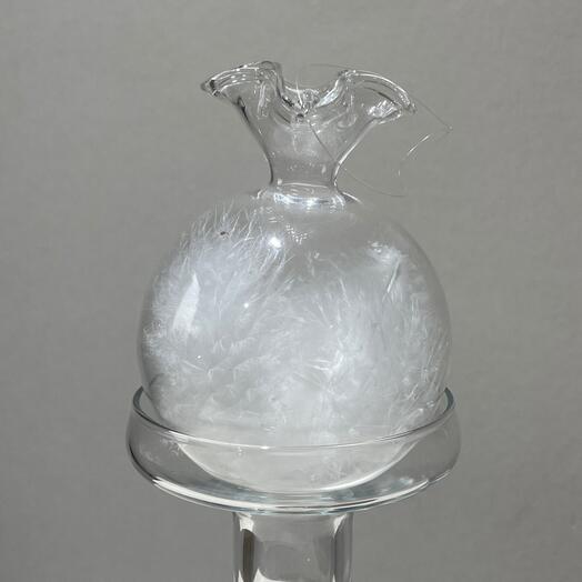 Шар прозрачный с пером