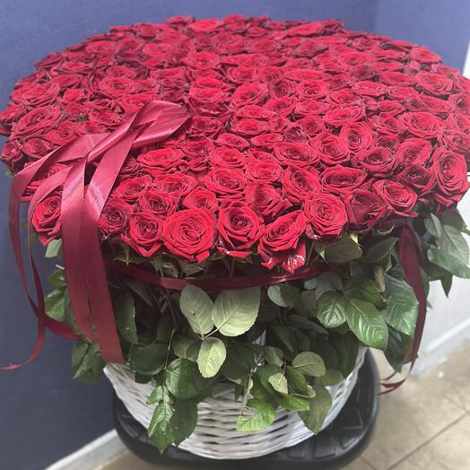 Корзина с Красной розами  50см 151шт