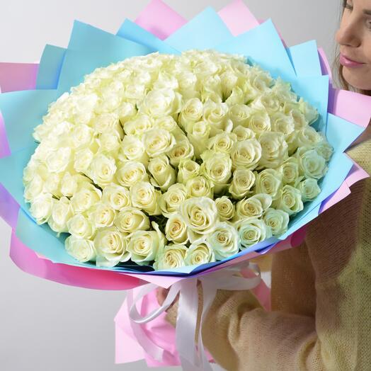 Белоснежка 101 Роза