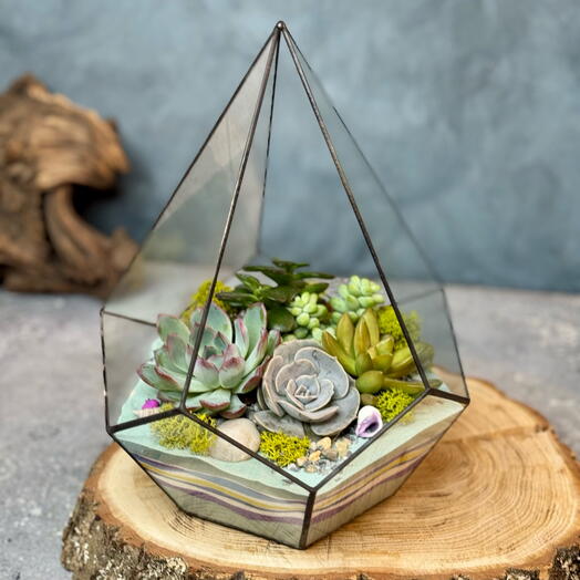 Drop L Mint with succulents - 098