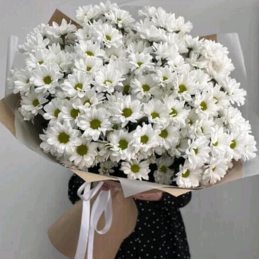 Хризантемы кустовые