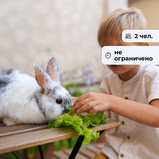 Встреча с природой. Посещение зоопарка