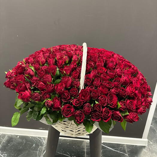 Корзина из 251 красной кенийской розы