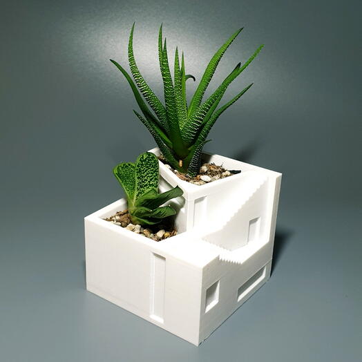 Суккуленты в кашпо "Домик на Санторини"