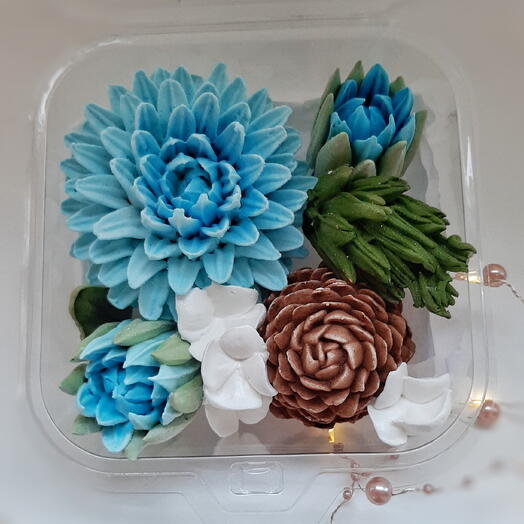 Бенто бокс 15×15 см