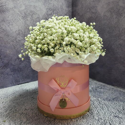 Composición de gypsophila en Caja