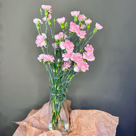 «Сразу в вазу» 7 стойких кустовых диантусов