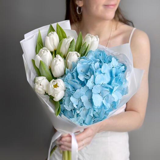 Нежный букет белые тюльпаны и голубая гортензия