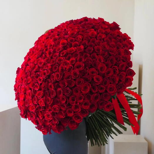300 vörös rózsa csokor