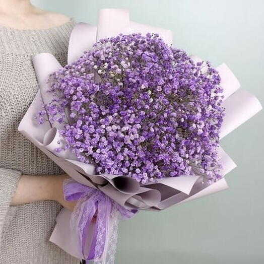 💜 Гипсофила (Ф079)