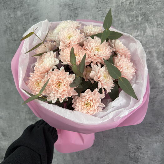 Розовая хризантема 3🌸