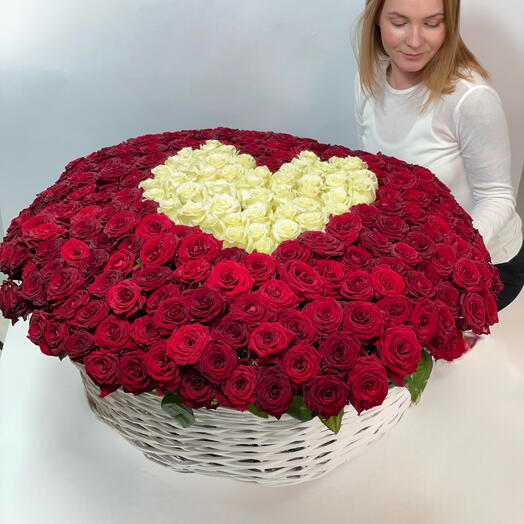 Корзина из 301 розы