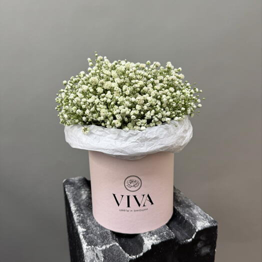 Viva Box · Нежное облако
