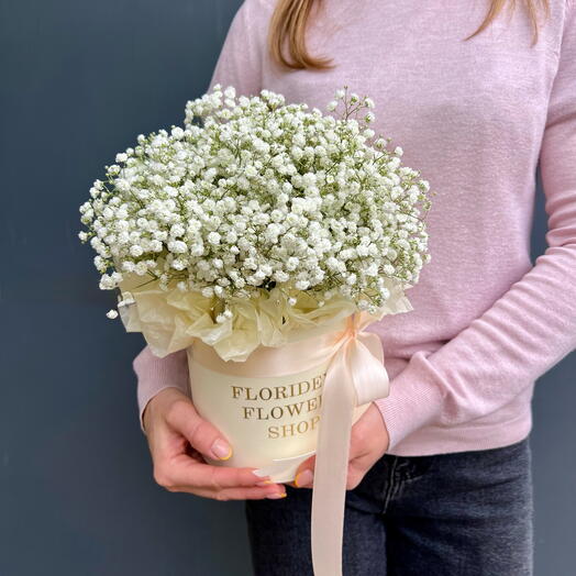A white gypsophila in a hatbox