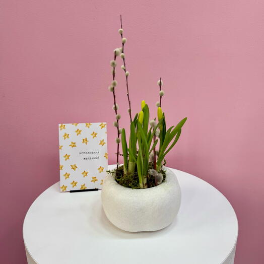 Мини сад с ароматными нарциссами и вербой в керамическом кашпо