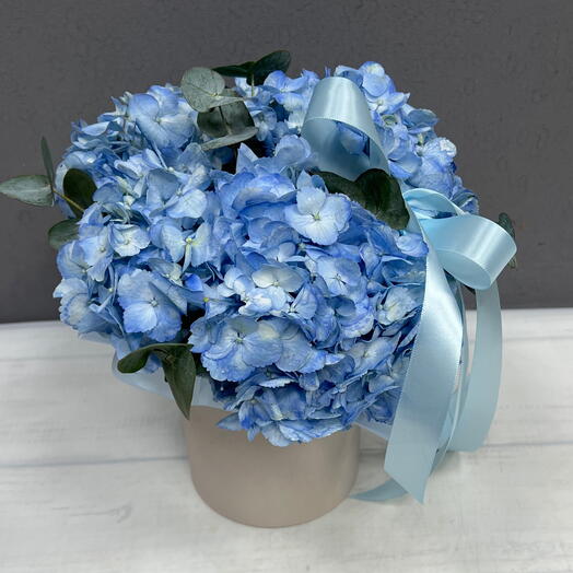 Голубая гортензия в шляпной коробке 💙
