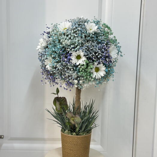 FloWers24
