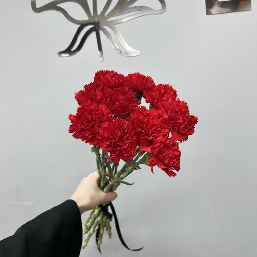 Красная гвоздика 10 штук