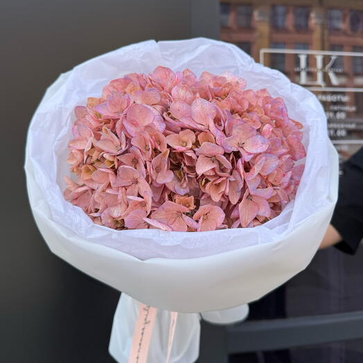Гортензия розовая моно