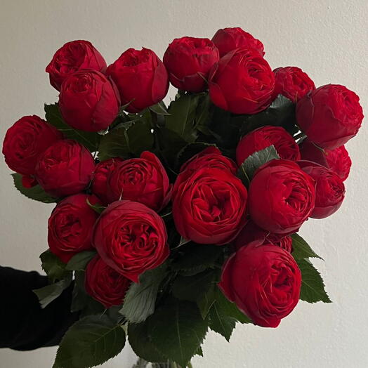 Red Piano Roses