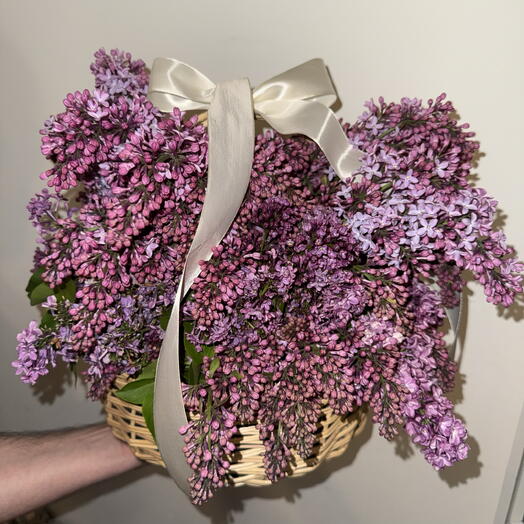 Букет сирени корзина 🧺