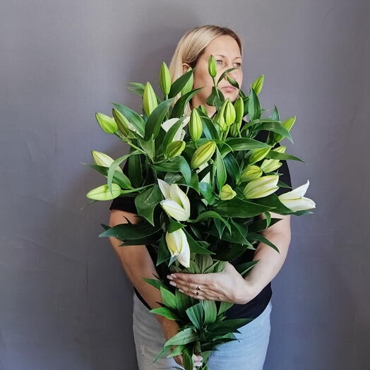 Букет из белых лилий (5 шт)
