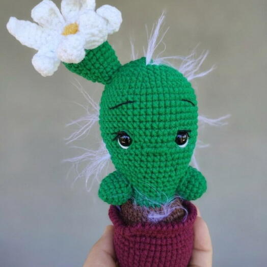 Кактусенок 🌵