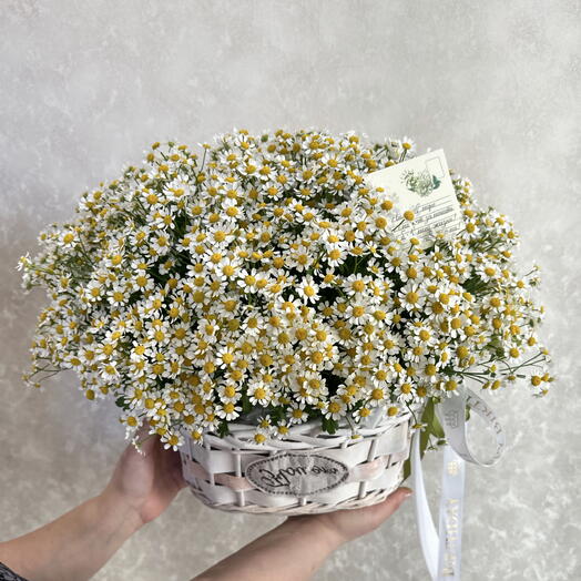 Корзина с ромашками