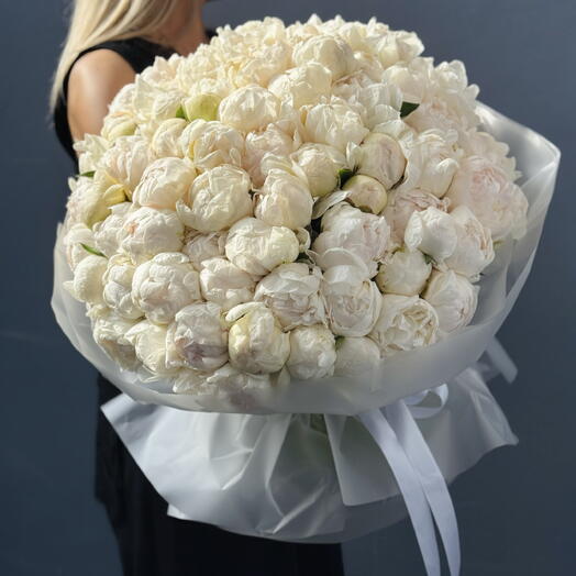101 кремовый пион