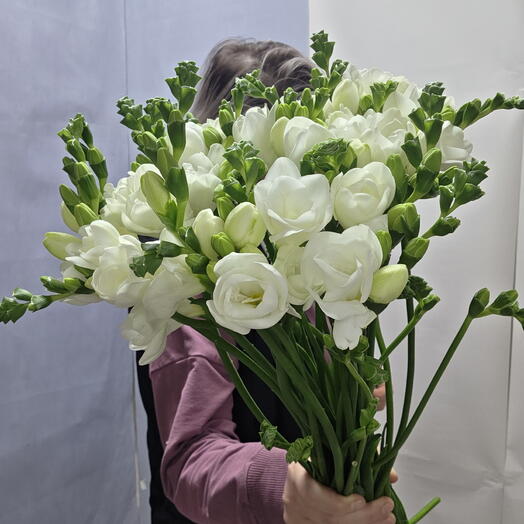 Букет из фрезии 21