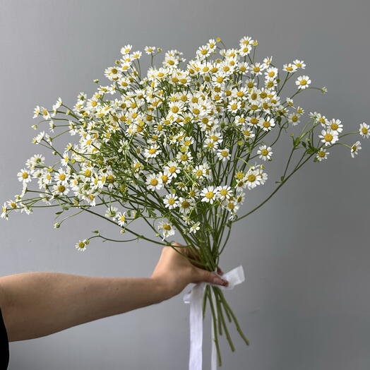 Монобукет из 7 веток ромашек 🌼
