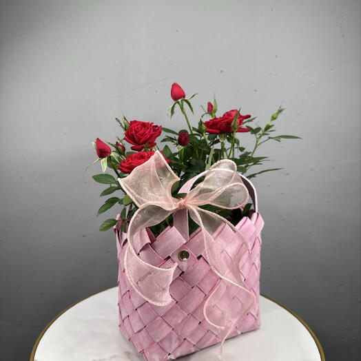 Роза кустовая с корзине + бант 🎀