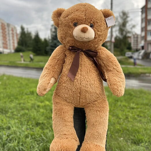 Игрушка мягкая Медведь Кенни