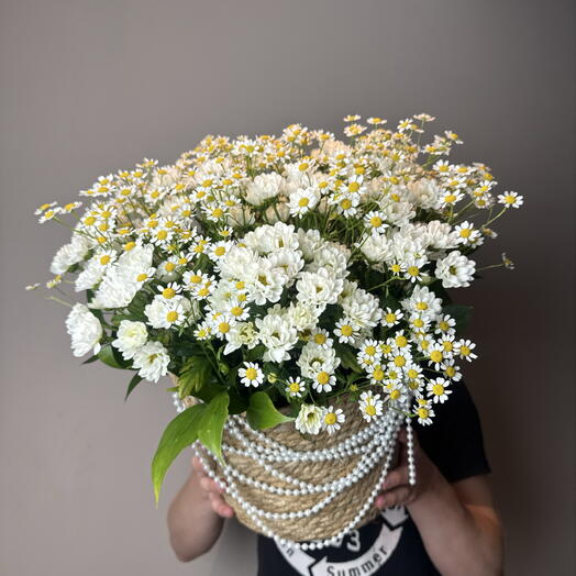 Шикарная корзина ромашек