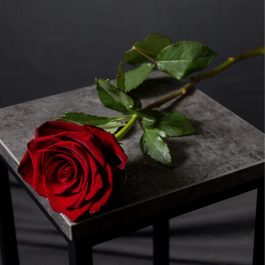 Красная Роза 🌹 50см
