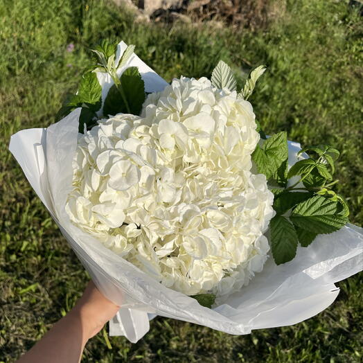 Белые гортензии с садовой малиной 3 шт