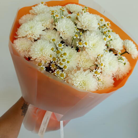 Летнее солнце/хризантема кустовая/матрикария/цветывуфе