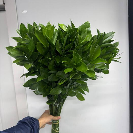 Банч 50 штук, Рускус