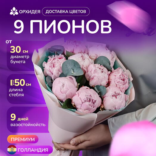 9 Пионов "Сара Бернар"
