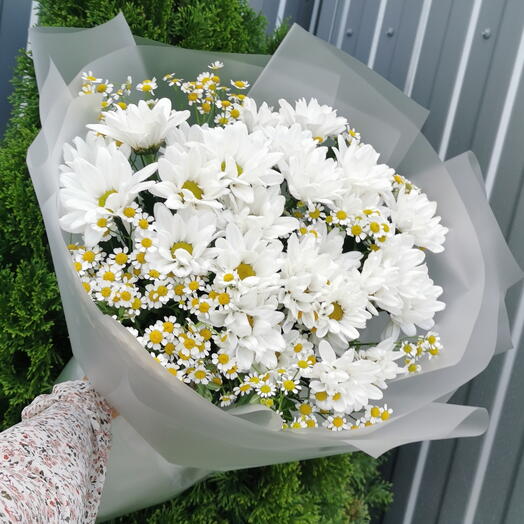 Ромашковый букет🌼