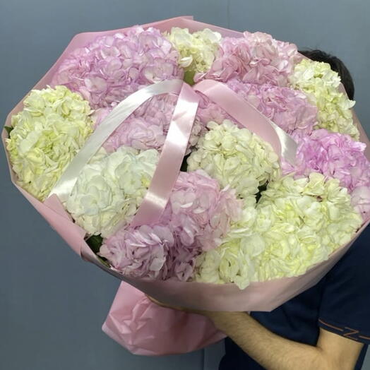 Микс гортензий 13 шт