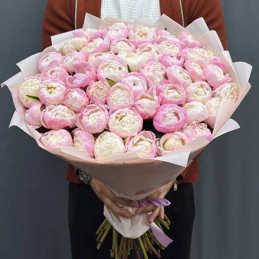🌸 Голландские пионы — 51 шт