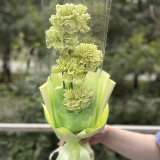 Корейский букет комплимент из зеленых диантусов 💚