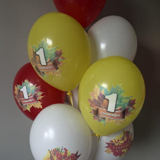 Связка из 10 Шаров к 1 сентября