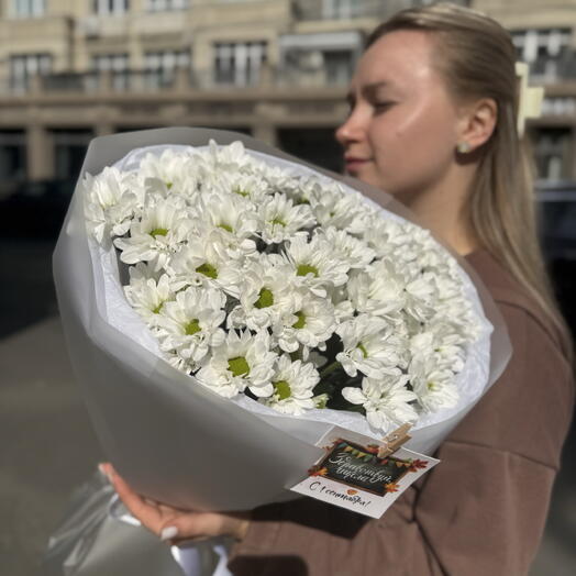 Ромашки хризантемы в круглой упаковке 5 штук