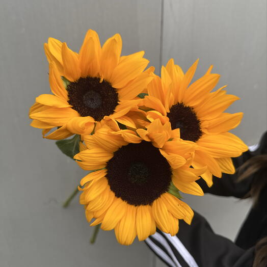 Подсолнухи 3 шт 🌻