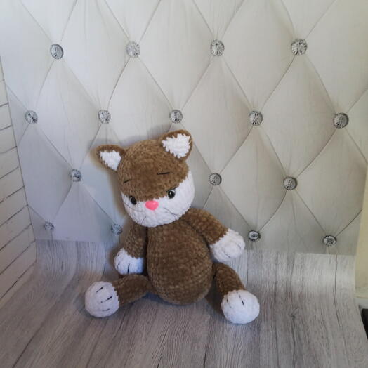 Кот"Фомка"