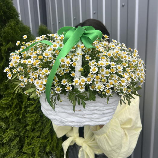 Ромашки в корзине 🕊️